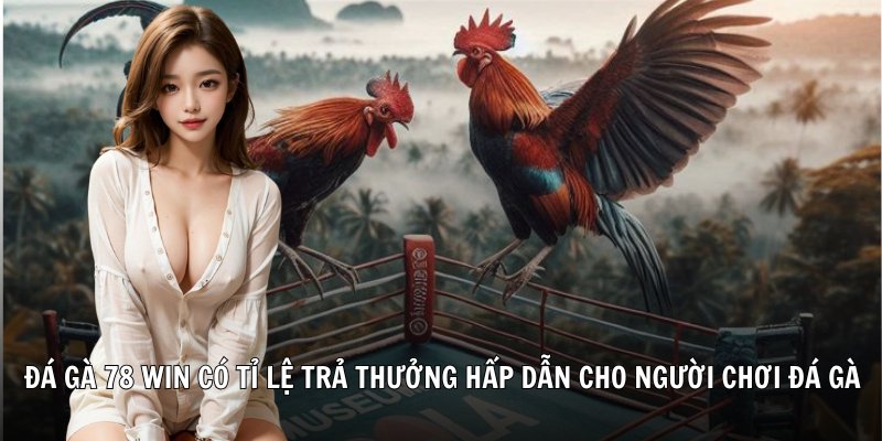Đá gà 78 win có tỉ lệ trả thưởng hấp dẫn cho người chơi Đá Gà